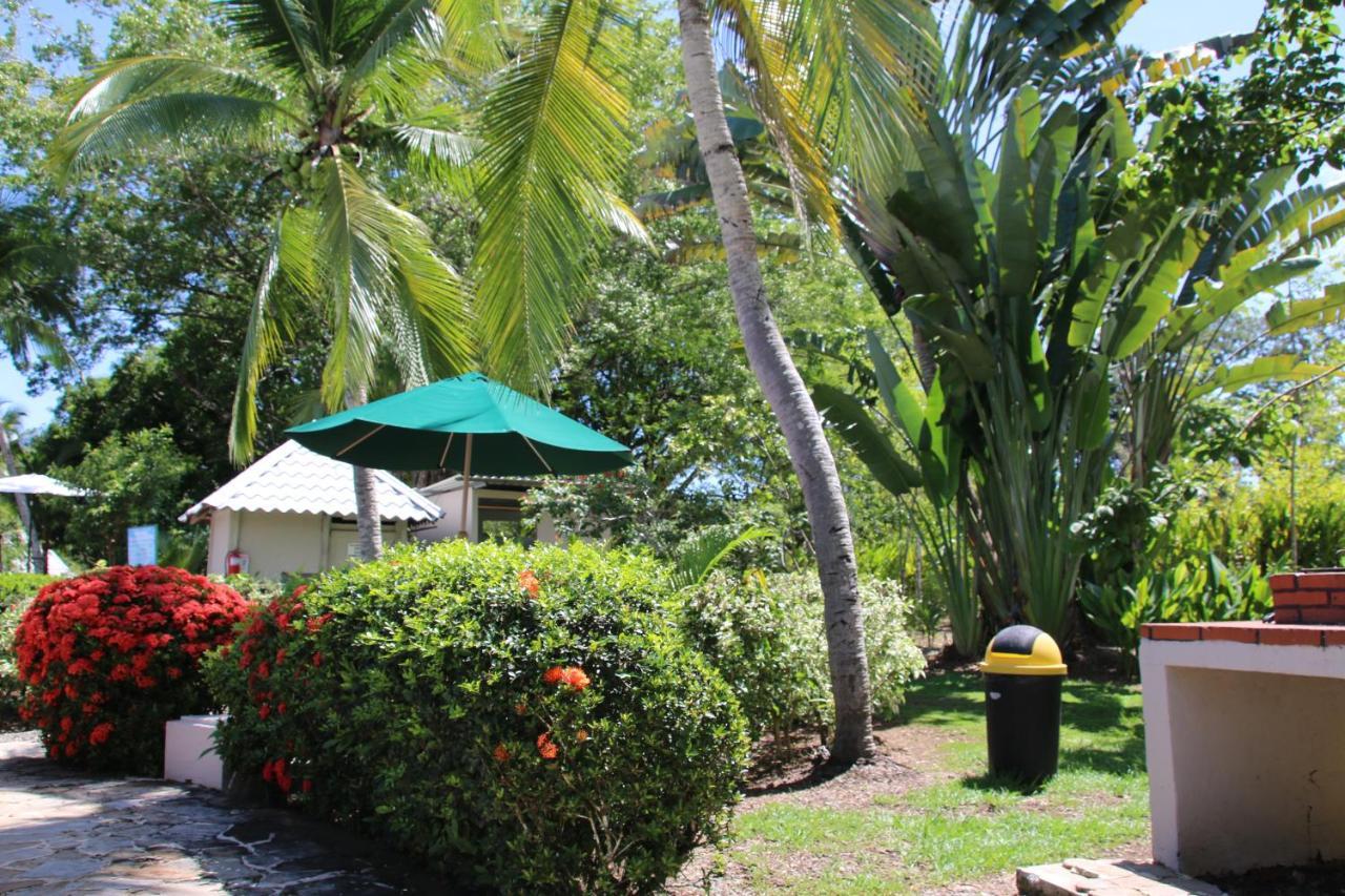 Tropical Bliss Pool Wi-Fi Bbq Near Quepos Manuel Antonio Apartment Ngoại thất bức ảnh