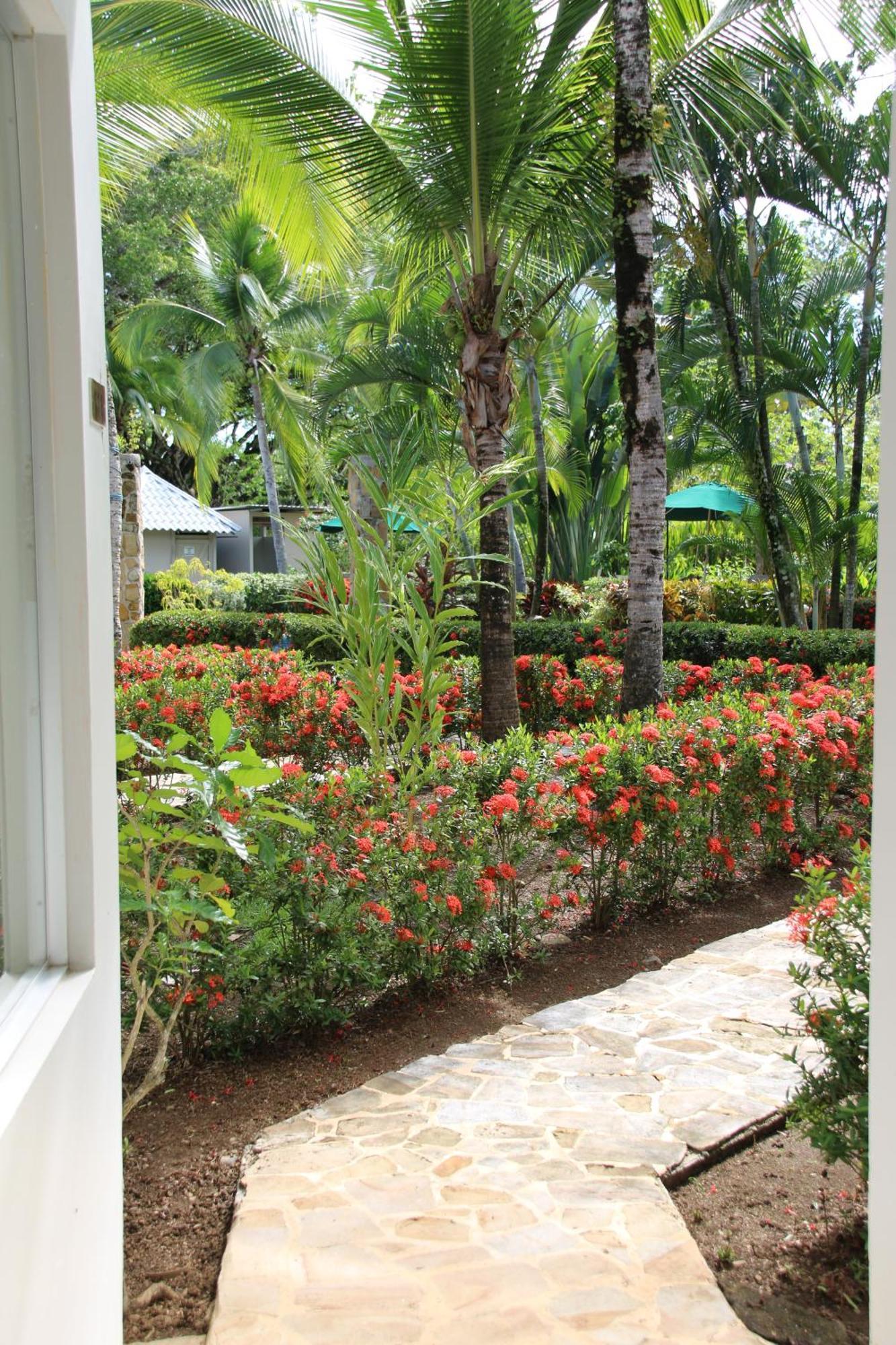 Tropical Bliss Pool Wi-Fi Bbq Near Quepos Manuel Antonio Apartment Ngoại thất bức ảnh